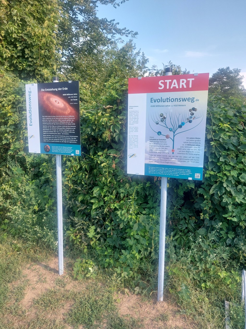 Offener Brief in Sachen Diebstahl von Sponsorenlogos