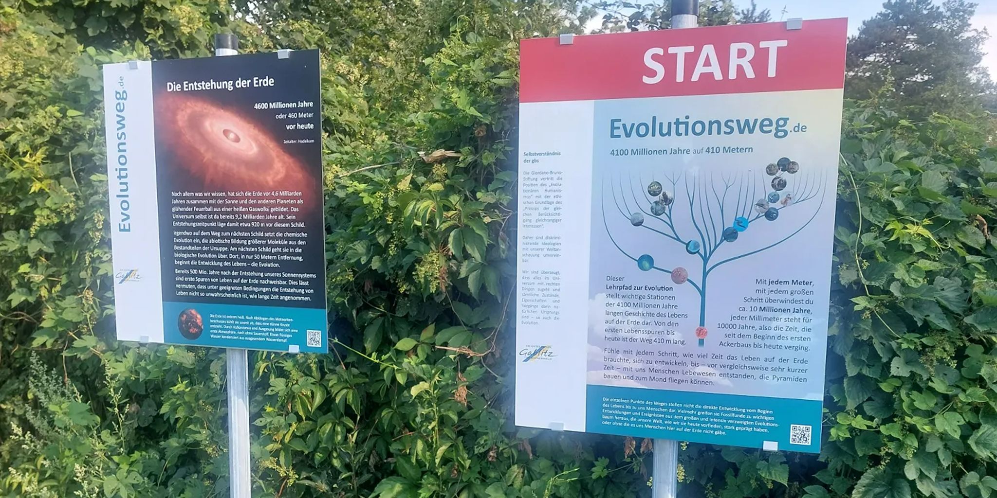 Offener Brief in Sachen Diebstahl von Sponsorenlogos
